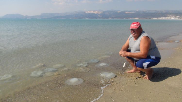 Deniz analar Akdeniz sahillerine akn etti