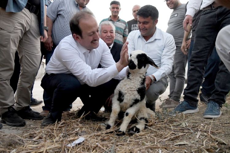 Vali Pehlivan iftilerle bir araya geldi