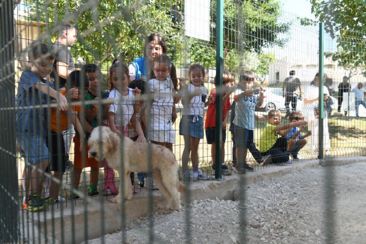 ocuklar Yeniehir Belediyesinin hayvan bakmevini gezdi