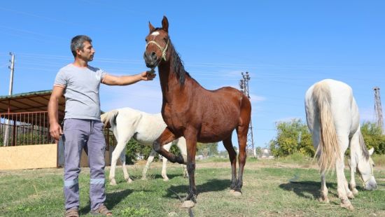 Mutlu Yaam Ky projesinde sona gelindi