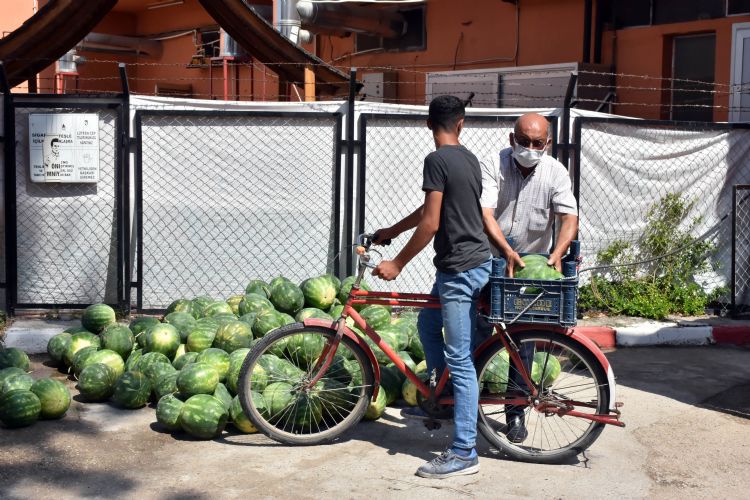 Tarsus Belediyesi, 15 ton karpuzu halka cretsiz datt