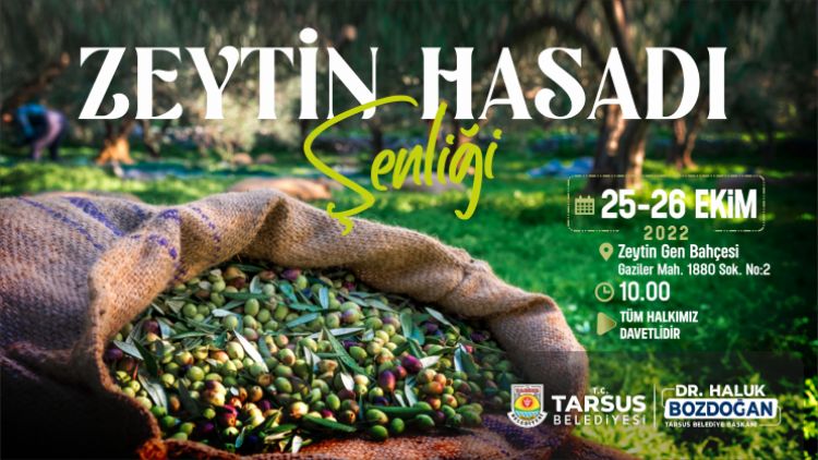 Tarsus Zeytin Hasat enlii yarn balyor