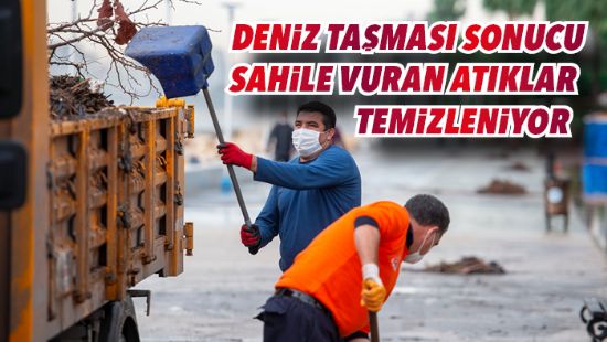 Deniz tamas sonucu sahile vuran atklar temizleniyor