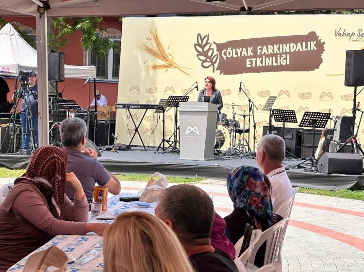 lyak hastalarnn sorunlarMeclis gndeminde