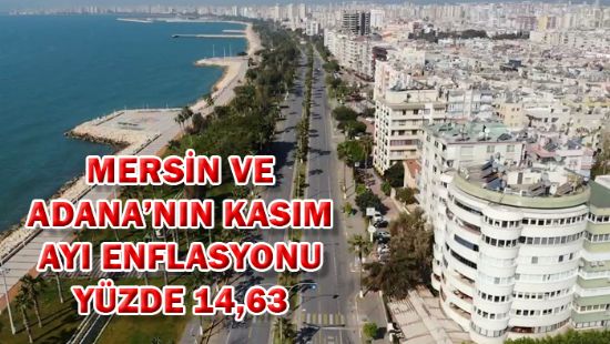 Mersin ve Adanann kasm ay enflasyonu yzde 14,63