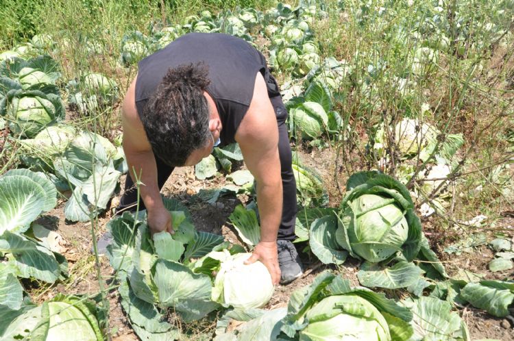 retici balad, belediye yurttalara cretsiz ulatrd