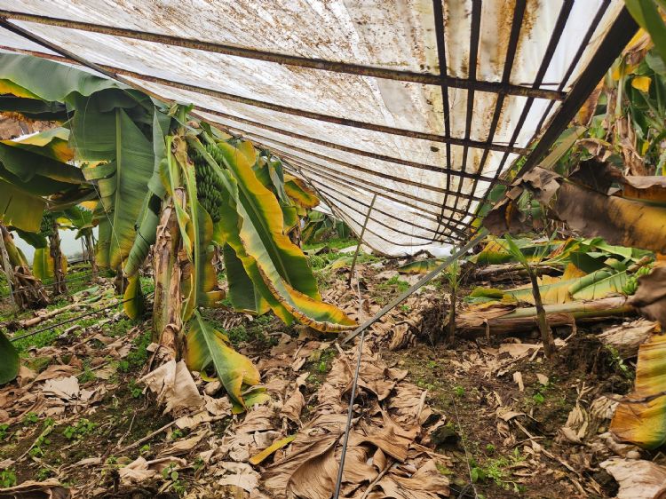 �reticiyi dolu vurdu