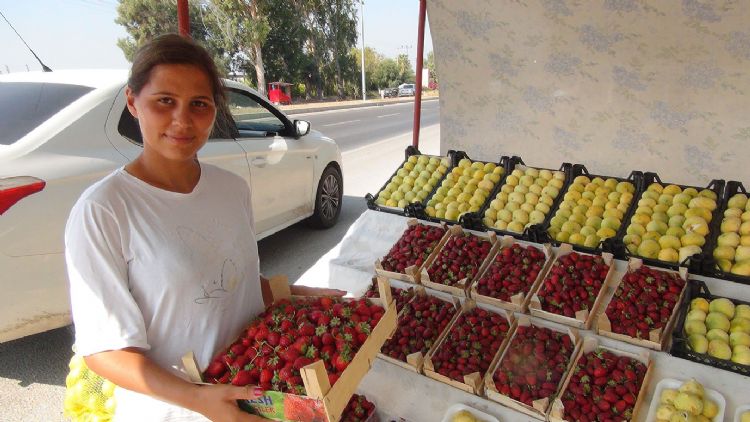 Silifkede ilek fideleri toprakla buluuyor