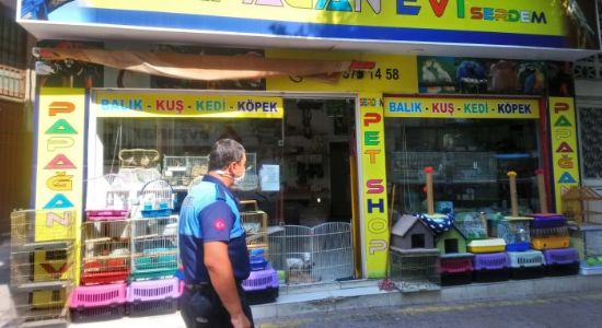 Akdeniz zabtas pet shoplar denetledi