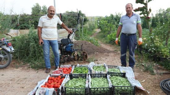 Gnll serasnda retilen rnlerle, ihtiya sahiplerine yemek yaplyor