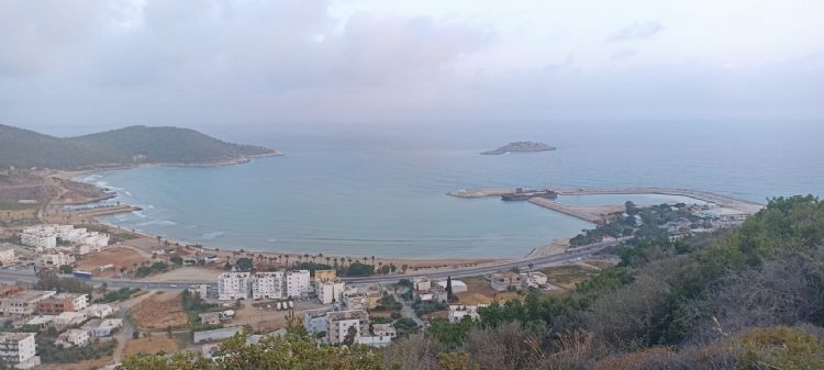 Ayd�nc�k Yat Liman� �st yap�s� i�in tahsis sorular� yan�t bekliyor