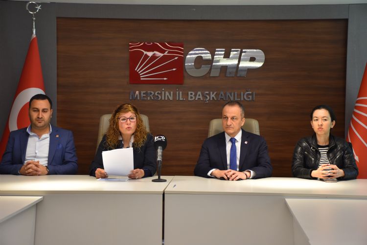 Akademisyen Sibel Gazi Tabel, CHPden aday aday