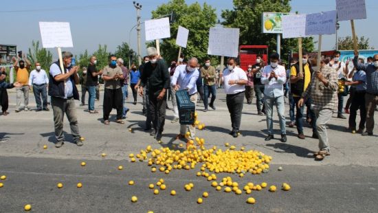 Limon reticisi isyan etti!