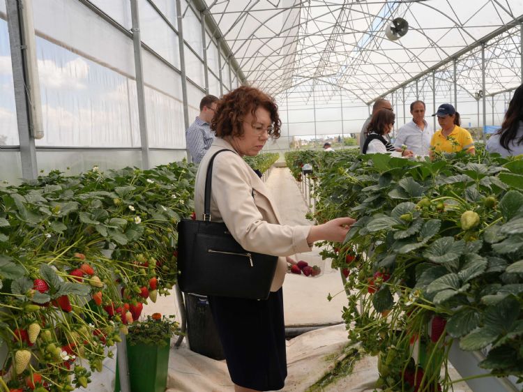 �klime dayan�kl� gelecek i�in uluslararas� i� birli�i