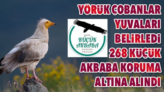 Yrk obanlar yuvalar belirledi  268 kk akbaba koruma altna alnd