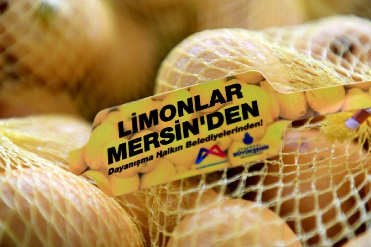 Mersinden yaylan limon dayanmas