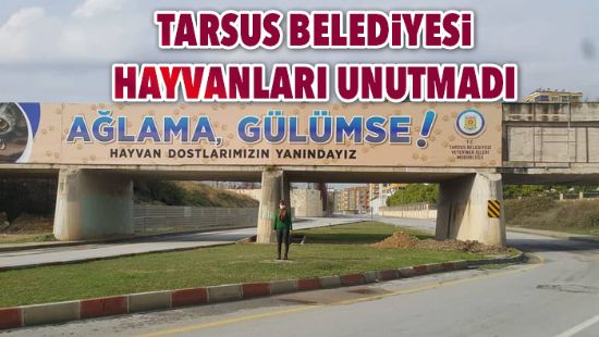 Tarsus Belediyesi hayvanlar unutmad