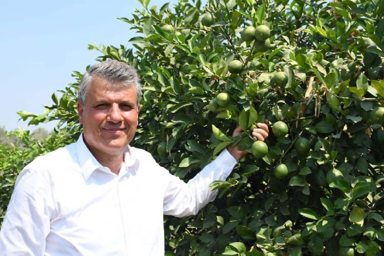 Limon reticisine ihracat darbesi