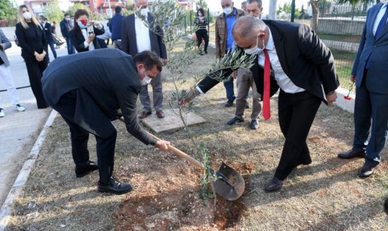 Yeniehirdeki okullarda bin adet zeytin fidan toprakla bulutu