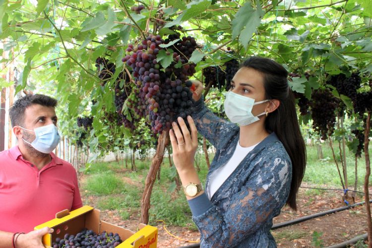 Akdeniz’in siyah incisi yzleri gldryor