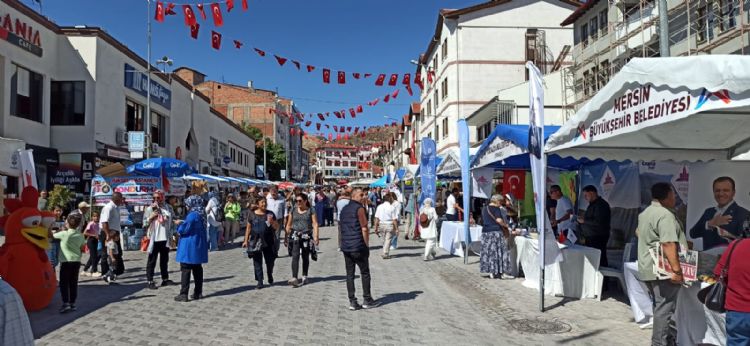 Mersin, Ankarada tantld