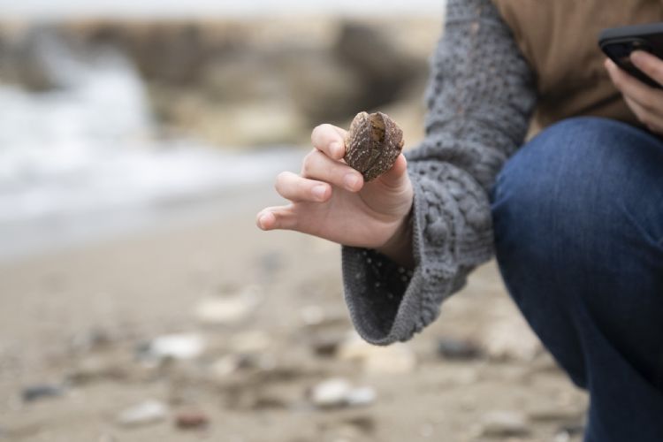 Mersin�de biyo�e�itlilik kay�t alt�na al�n�yor