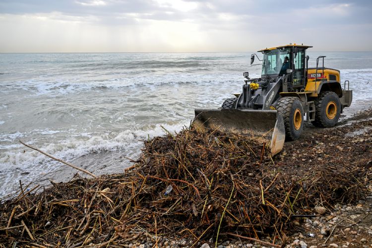 Mersin sahillerinde selin izleri siliniyor